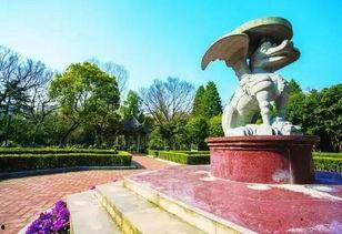 中山公园最新爆料新闻,神秘事件引发热议，真相即将揭晓